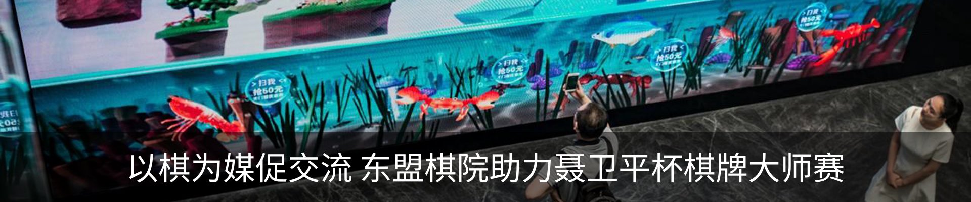 最新动态