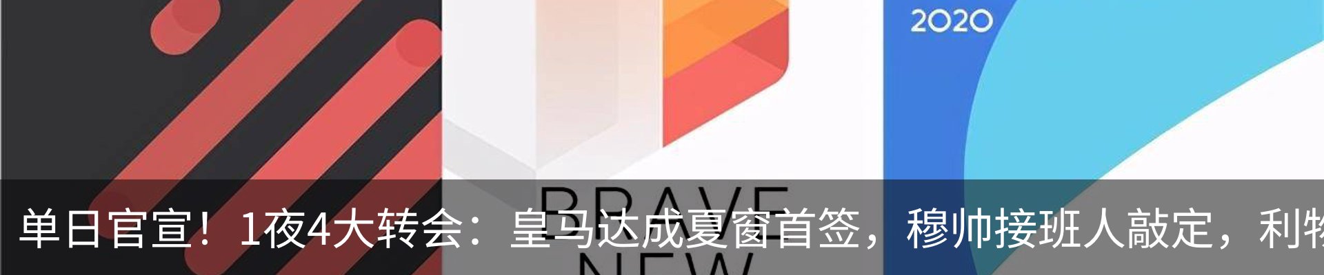 最新动态