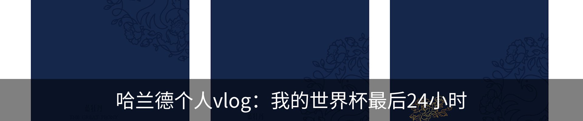 最新动态