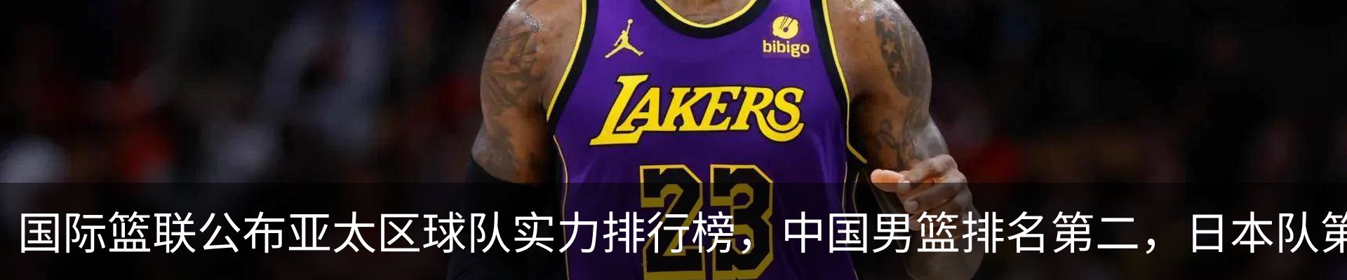 最新动态