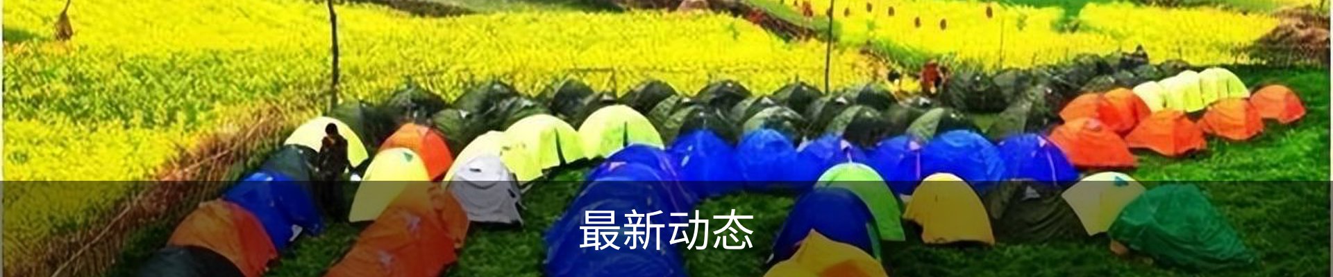 最新动态