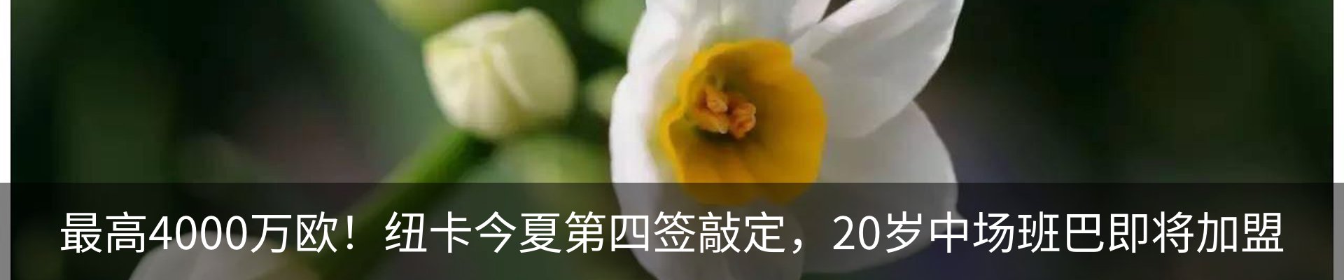 最新动态