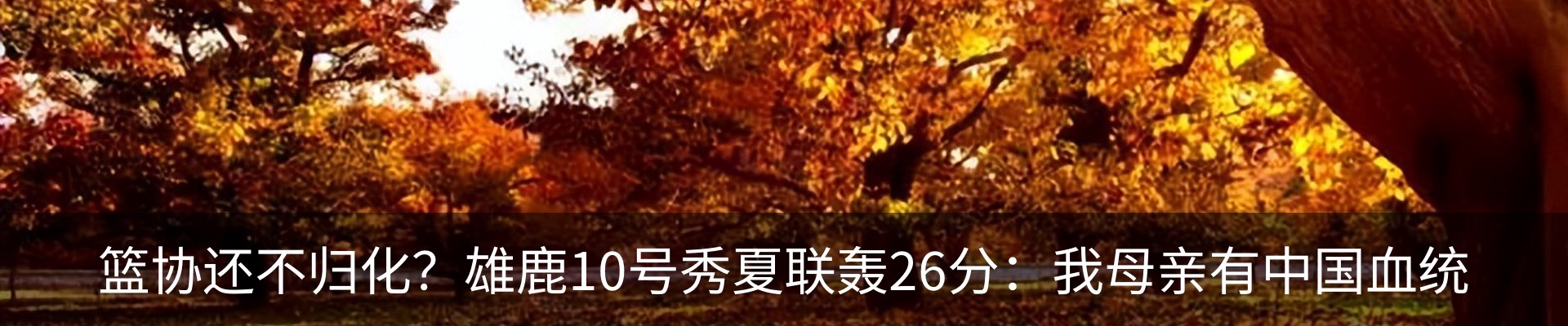最新动态