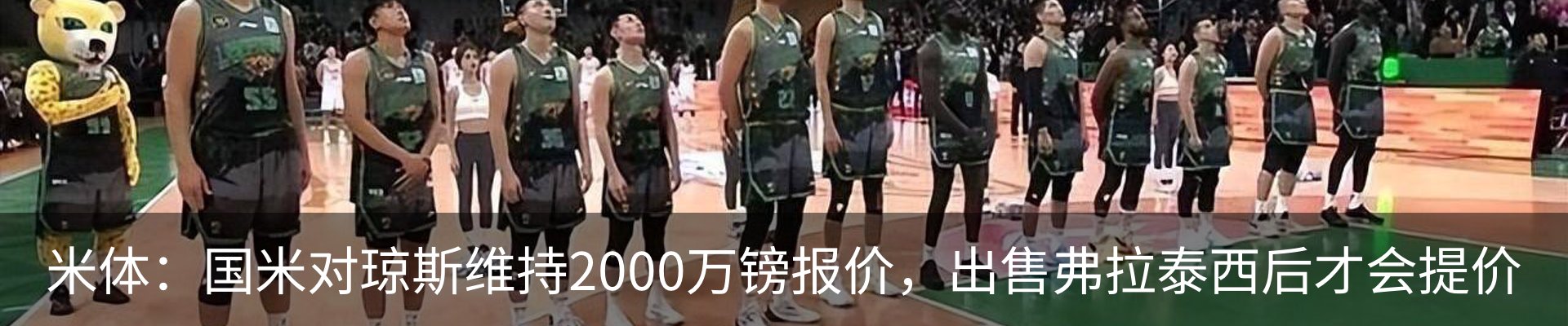 最新动态