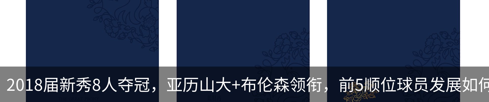 最新动态